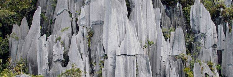 Ascension des Pinnacles dans le parc de Mulu