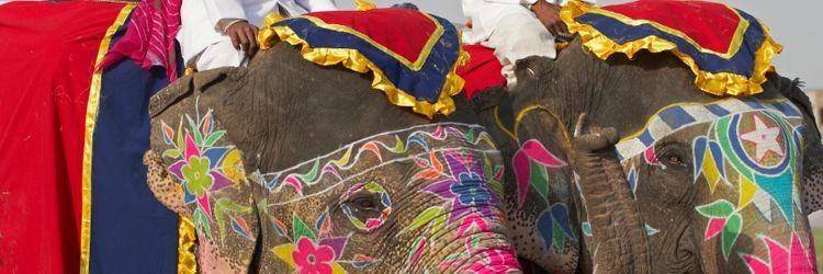 Balade à dos d'éléphant (à Dera Amer, à 30 min de Jaipur)