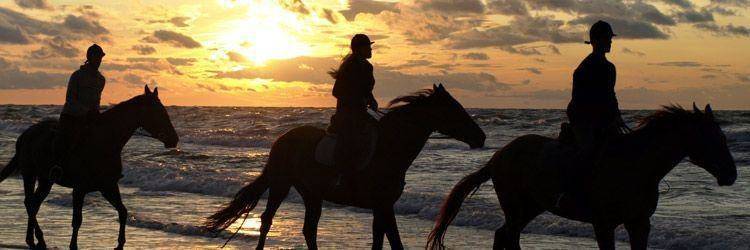 Balade à cheval à Playa Negra