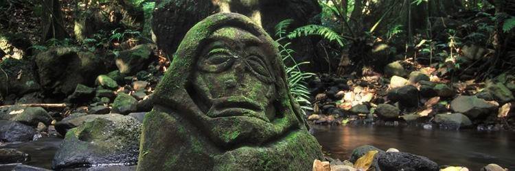 Excursion en pirogue sur la rivière de Faaroa et au Marae Taputapuatea