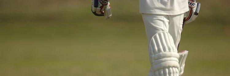 Match de cricket dans un village
