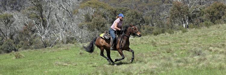 Randonnée à cheval à Chugchilan