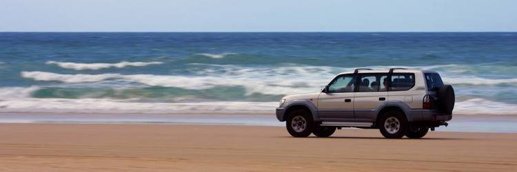 Safari aventure en 4x4