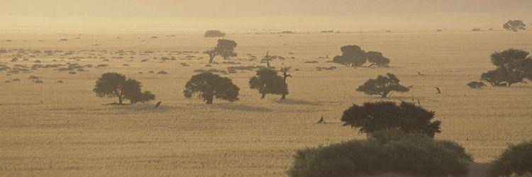 Un safari en 4x4 au Swaziland