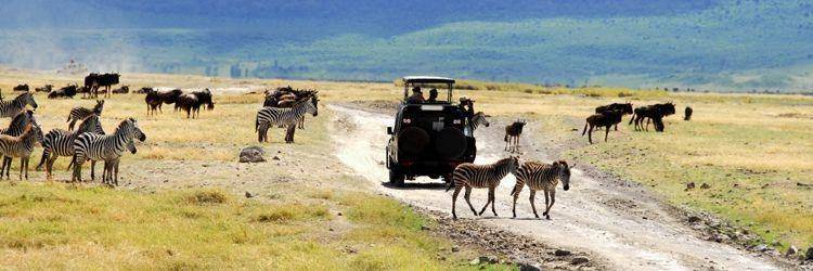 Safari en 4x4 au Kenya