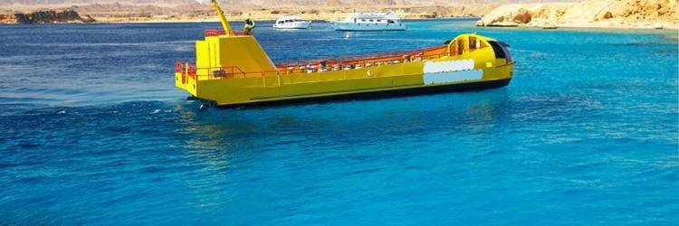 Seascope