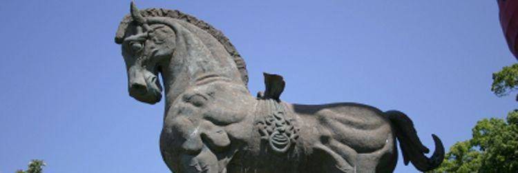 Visite des principaux sites culturels du Chugoku