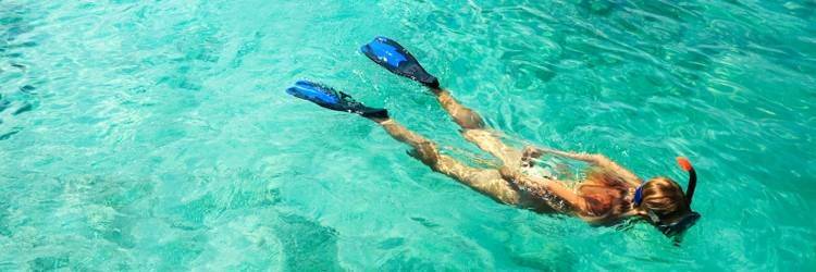 Snorkeling Safari