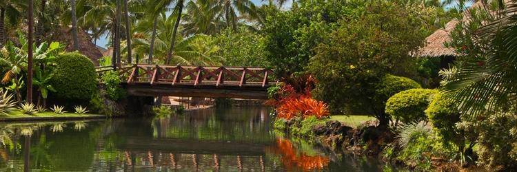 Tahiti et ses senteurs tropicales
