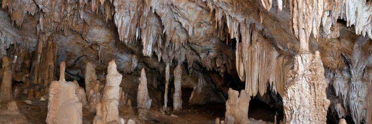 Visite des grottes de Niah