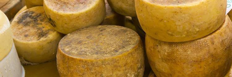 Visite d'une fabrique de fromages à Chugchilan