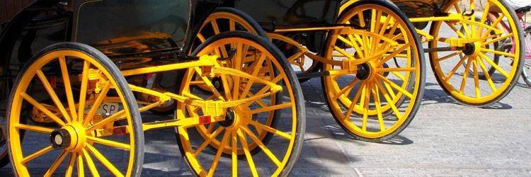 Balade en calèche dans la vieille ville d'Ava