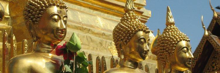 Balade en cyclo-pousse dans Chiang Mai
