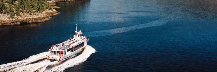 Croisière d'observation des baleines