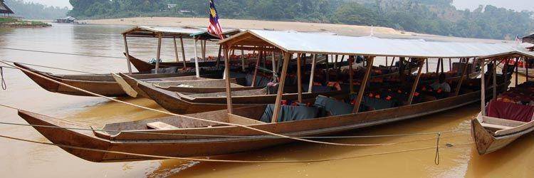 Croisière sur la rivière Kinabatangan