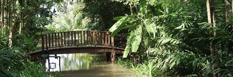 Croisière sur les Khlongs