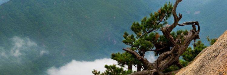 Excursion à la montagne Bukhansan