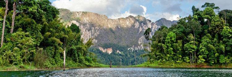 Exploration du Parc National de Khao Sok