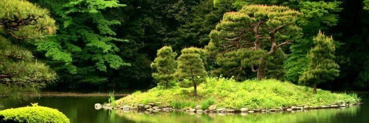 Le parc Hallim à Jeju
