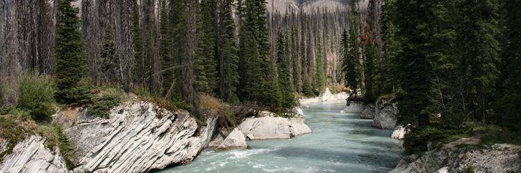Parc de Kootenay