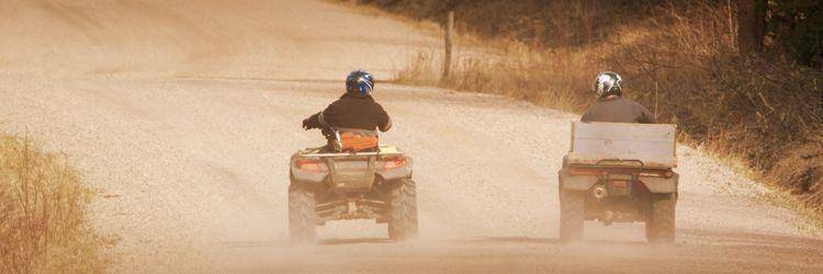 Quad dans la forêt
