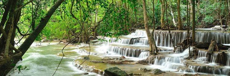 Randonnée dans la jungle vers la rivière aux Mille Lingams