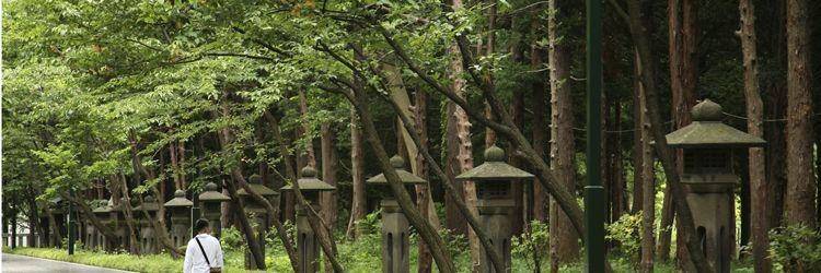 Visite des principaux sites naturels d'Hokkaido