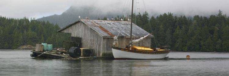Tofino