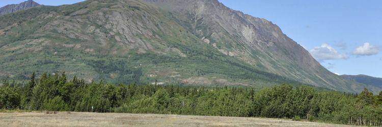 Traversée du désert de Carcross