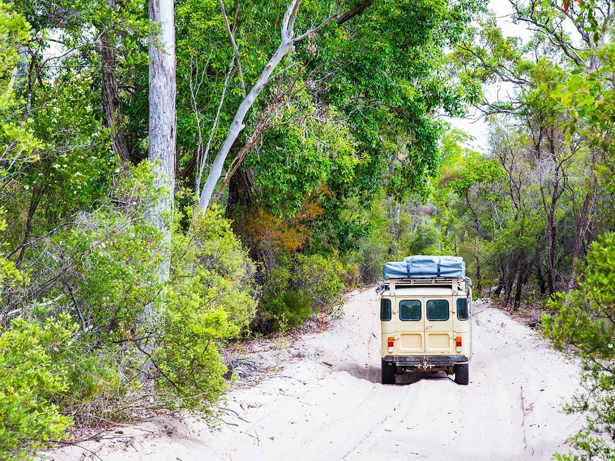 Journée d'excursion à K'Gari en 4x4