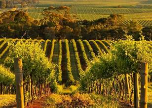 Clare Valley