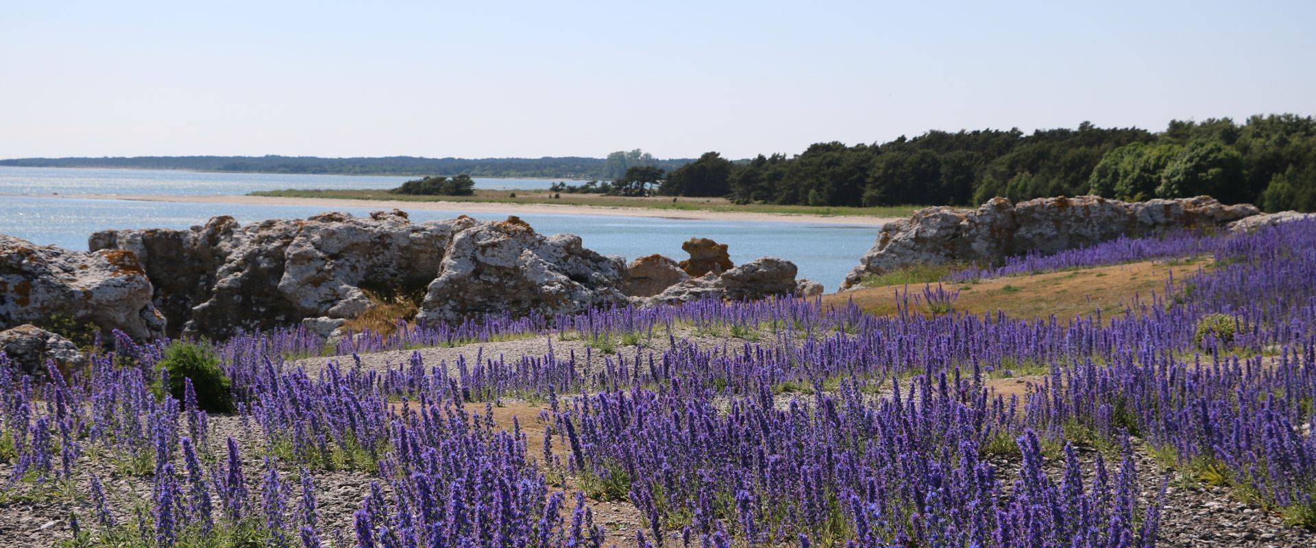 Ile de Gotland