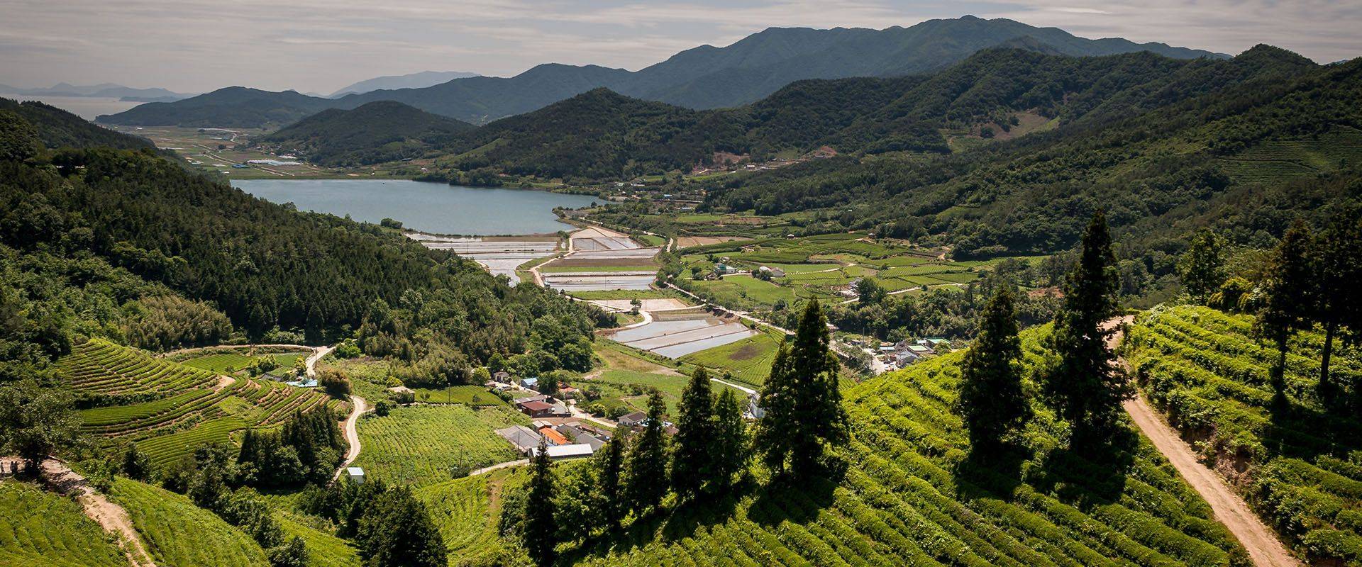 Bosseng Voyage Boseong | Marco Vasco