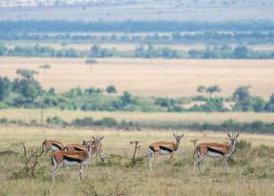 Hell's Gate National Park