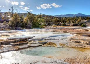 Mammoth Hot Springs