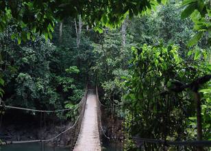 Parc national Corcovado