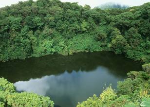 Parc national de Braulio Carrillo