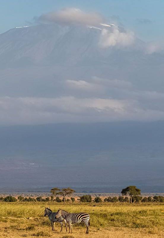 Simba Camp (2600m)