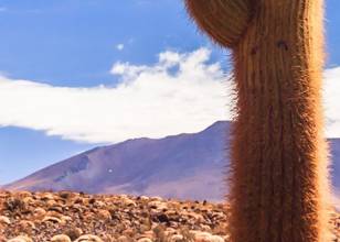 Vallée des Cactus (Guatín)