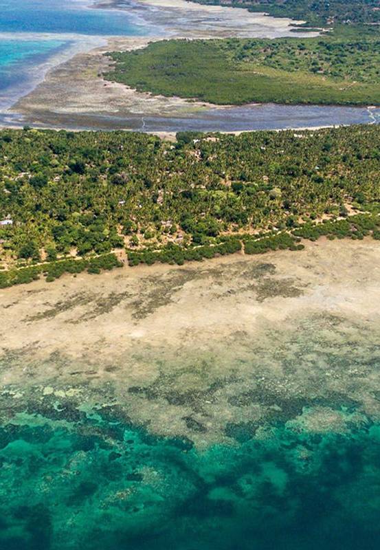 Ile de Mafia