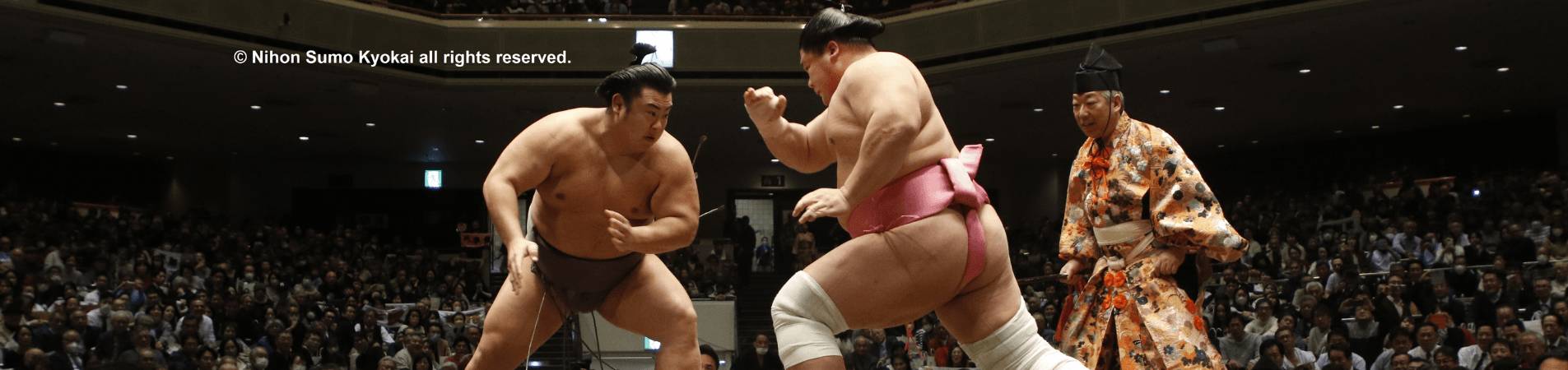 De Kyoto à Fukuoka : saveurs et sumo