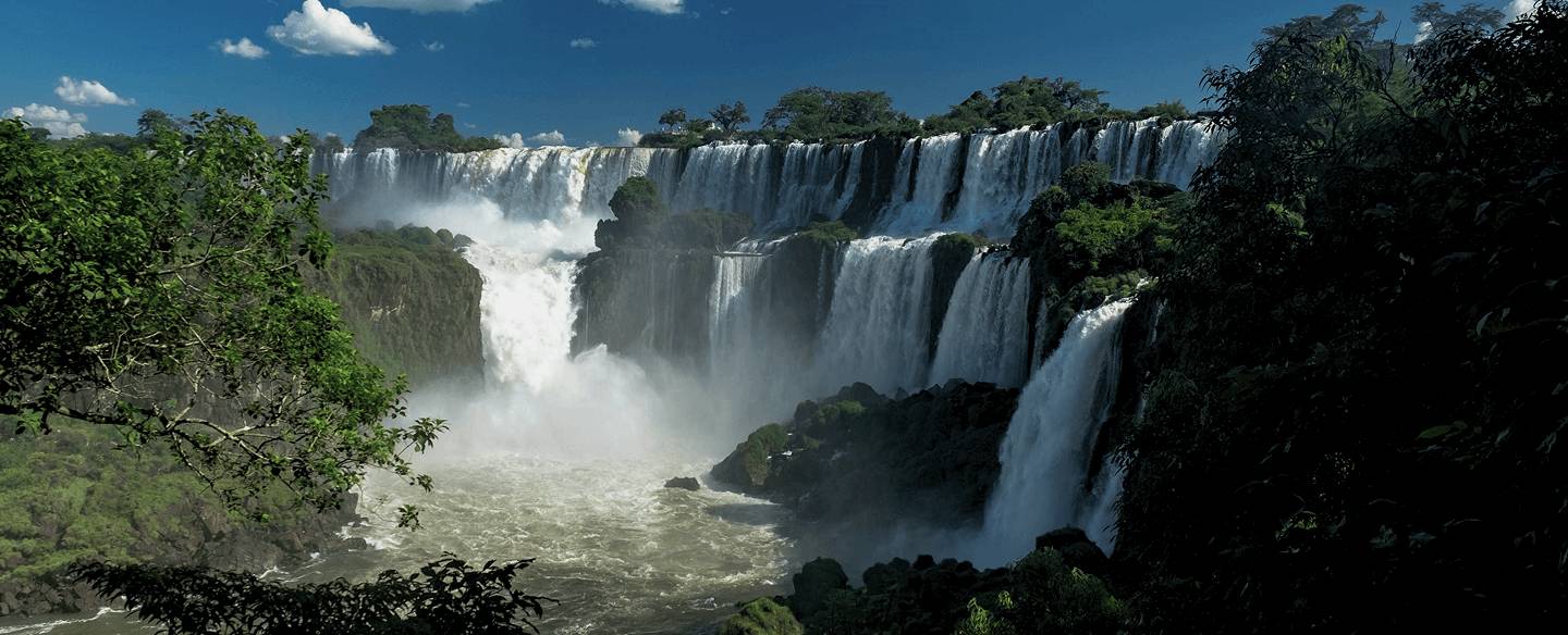 Argentine
