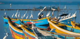 Sur les traces des rois de Ceylan