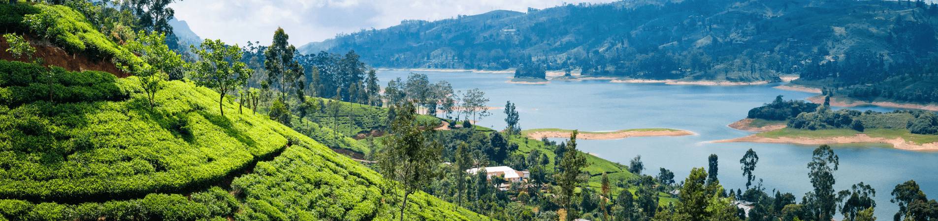 Le Sri Lanka, par monts et merveilles