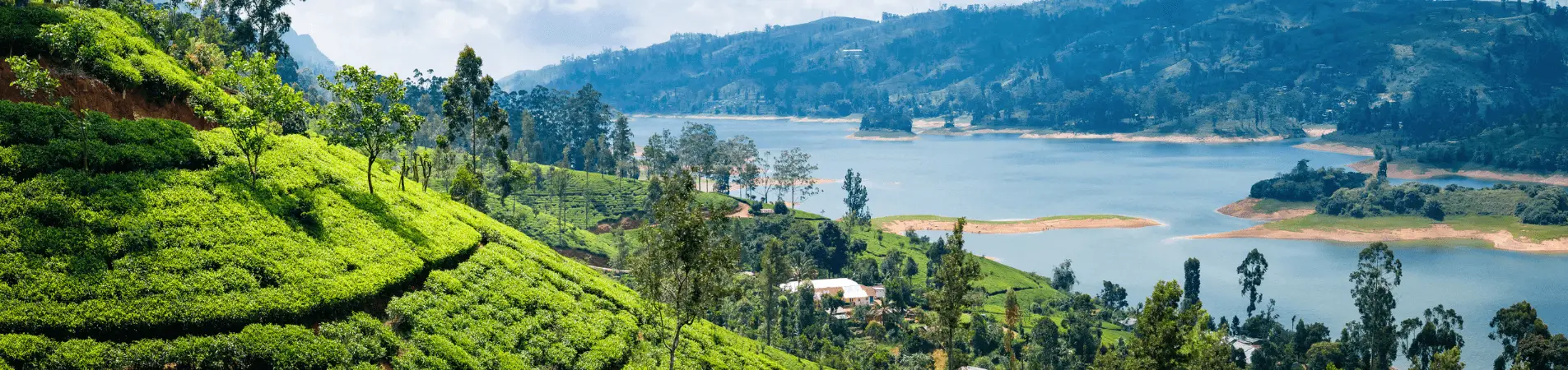 Le Sri Lanka, par monts et merveilles