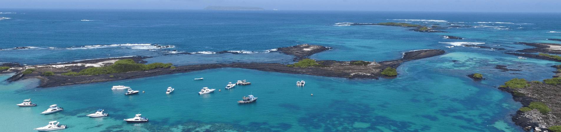 Croisière aux Galapagos