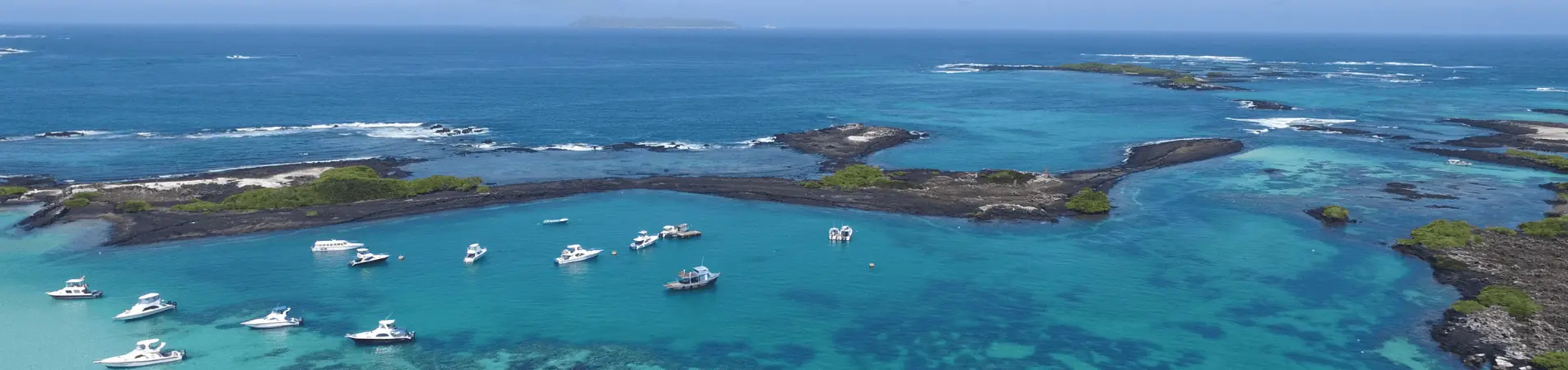Croisière aux Galapagos