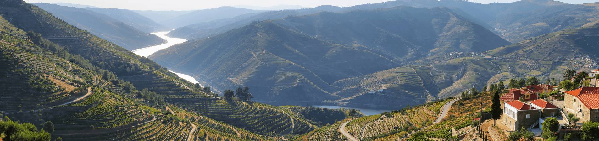 Portugal Authentique : Porto et Douro