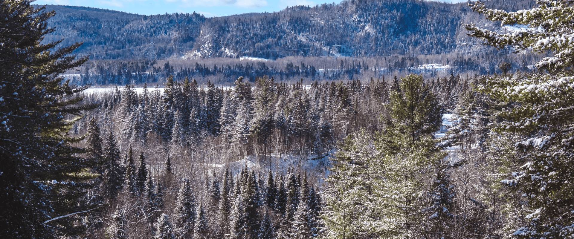 Aventures hivernales au Québec en famille