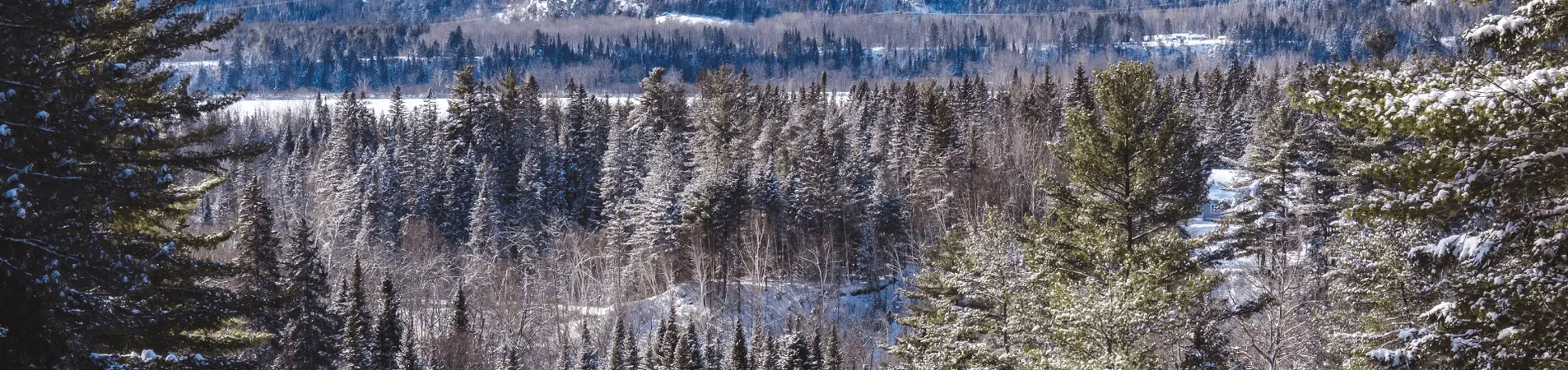 Aventures hivernales au Québec en famille